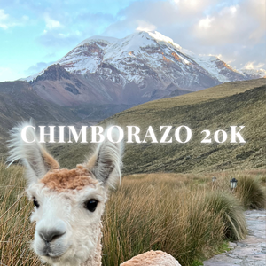 Chimborazo 20k